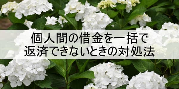 個人間の借金を一括で返済できないときの対処法