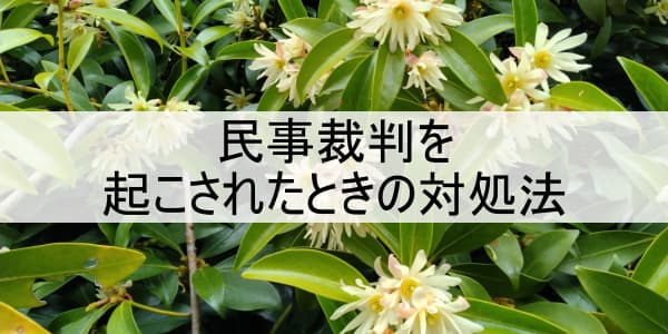 民事裁判を起こされたときの対処法
